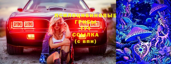 амф Новокубанск