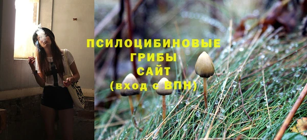 амф Новокубанск