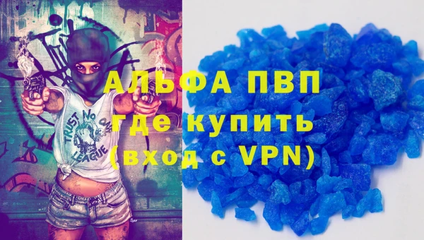 амф Новокубанск