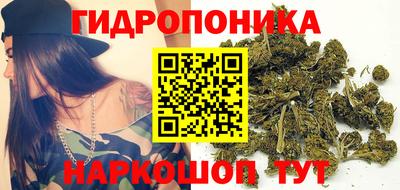 spice Обнинск