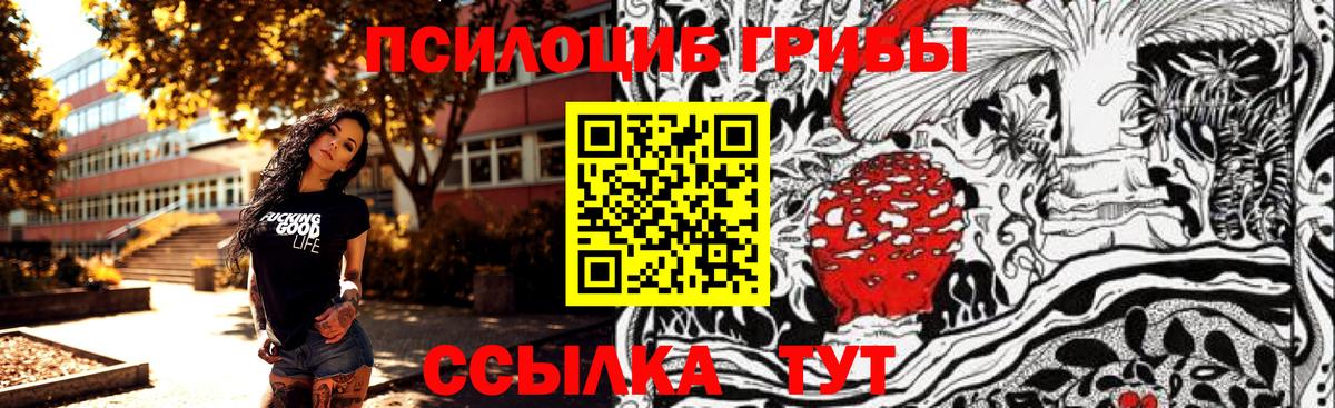 Псилоцибиновые грибы ЛСД Шадринск